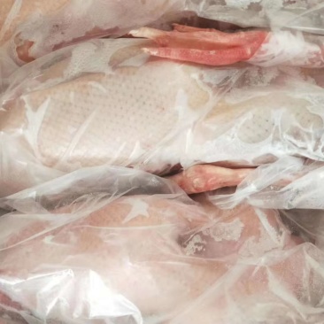 禽畜牧蛋肉