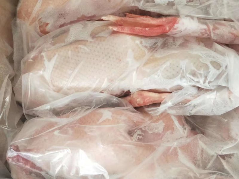 禽畜牧蛋肉