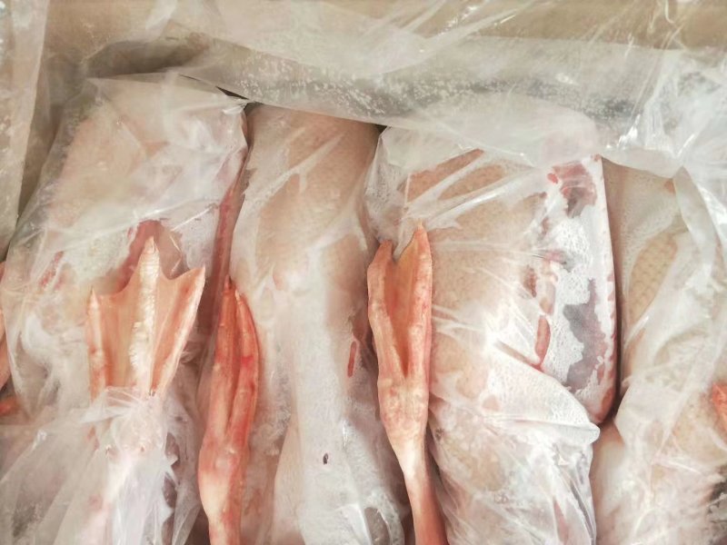 禽畜牧蛋肉