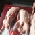 禽畜牧蛋肉