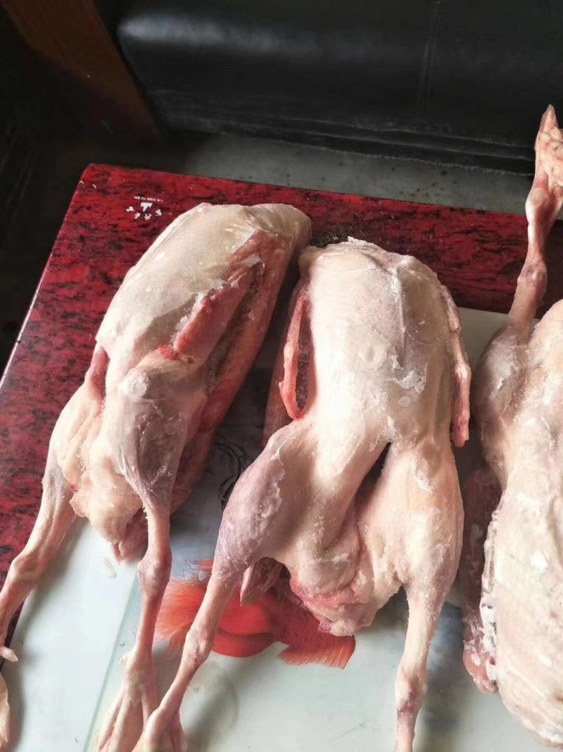 禽畜牧蛋肉