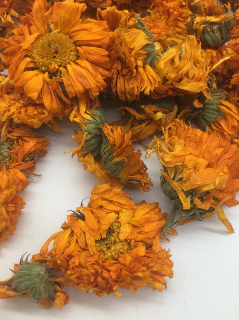 花茶金盏菊