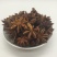 八角，大茴，香料