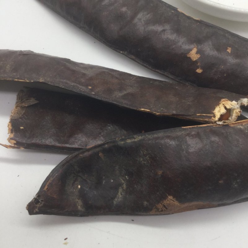 皂角，中药材，中药材皂角