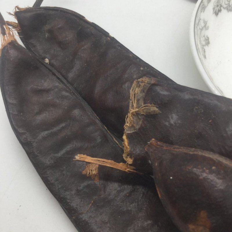 皂角，中药材，中药材皂角