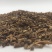 寻骨风根，中药材寻骨风根，中药材