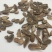郁金