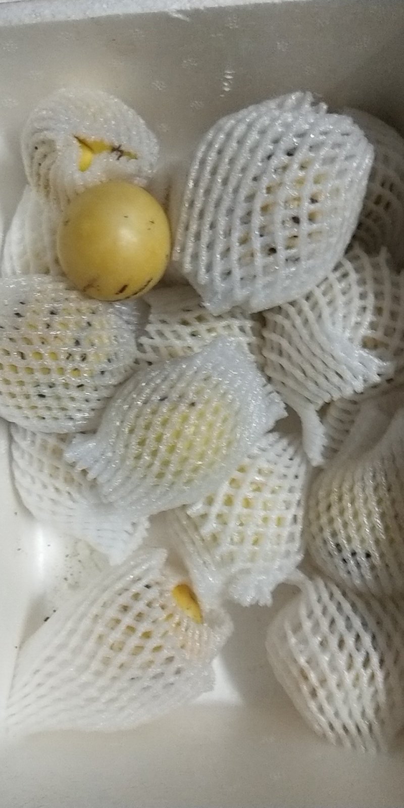 人参果