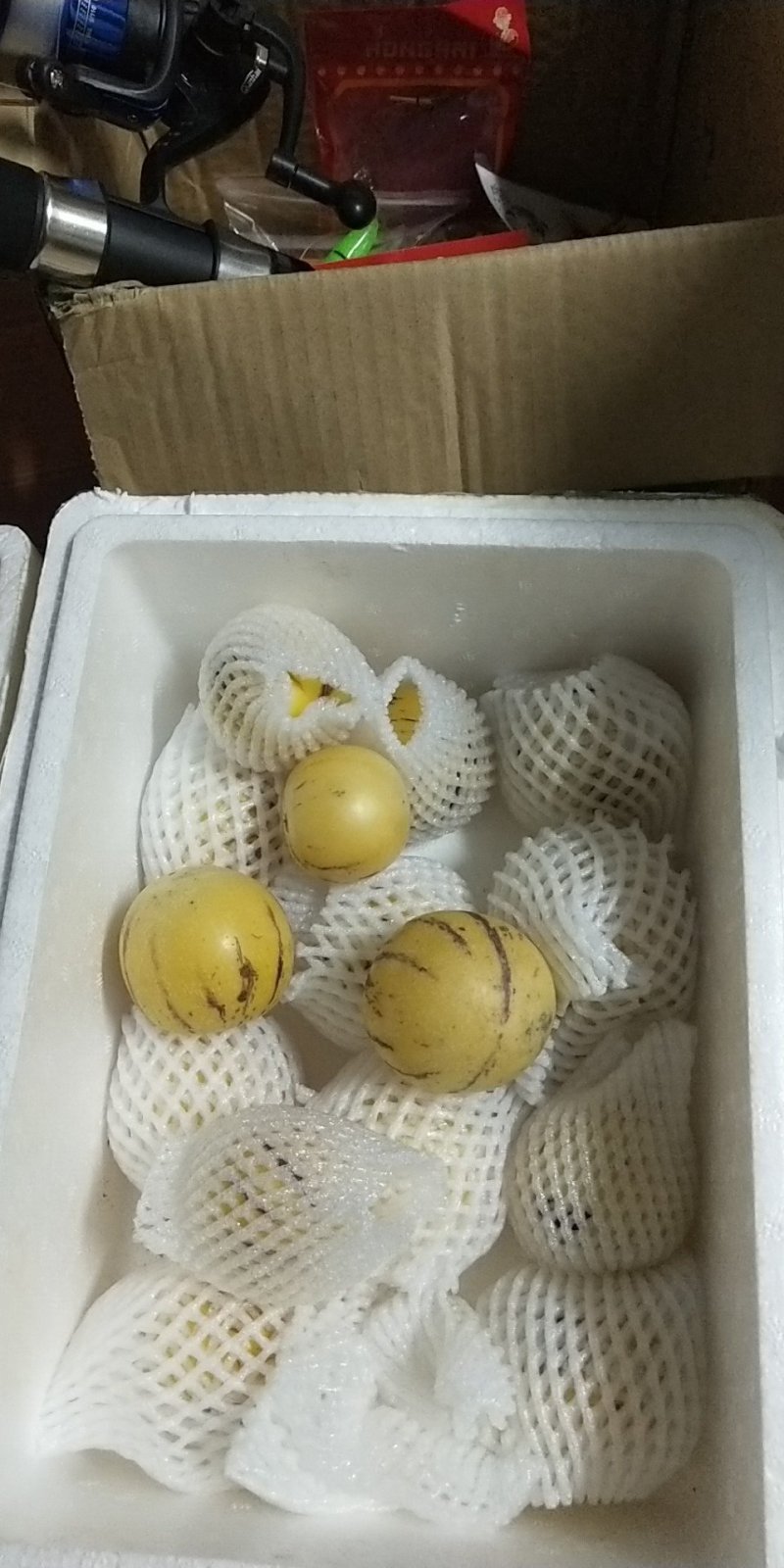 人参果
