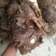 正宗荔浦芋头香芋新鲜现挖现发荔浦市产地直供