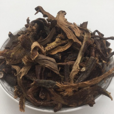 骨碎补，中药材骨碎补