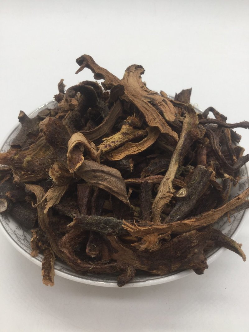 骨碎补，中药材骨碎补
