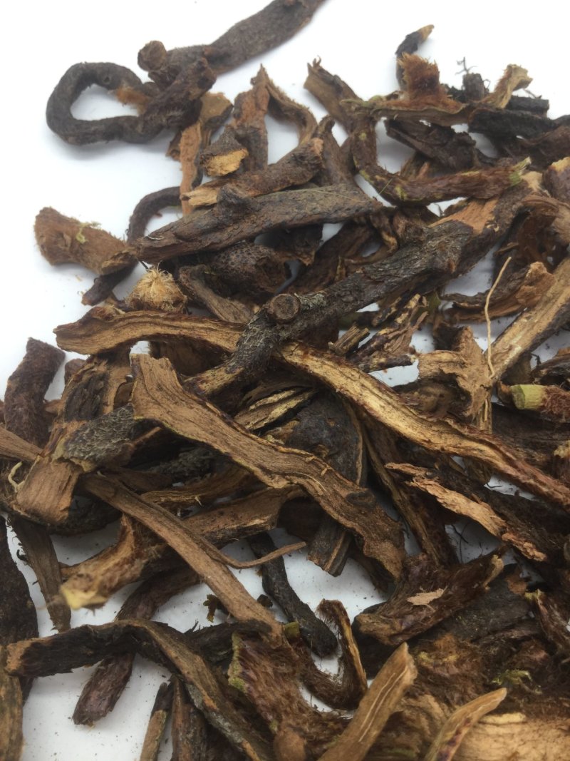 骨碎补，中药材骨碎补