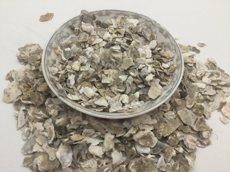 牡蛎，中药材牡蛎