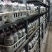太空羊肚菌种批发零售买菌种教育苗技术欢迎随时联系