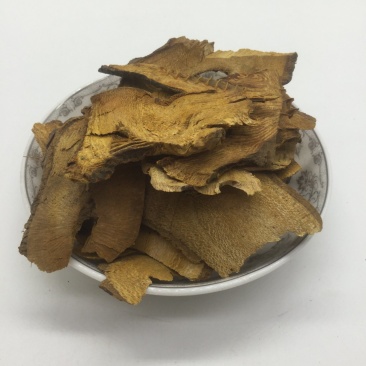 虎杖，中药材虎杖