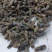 蜂蛹，4级，带小黄，七里，黄脚黑无翅，葫芦蜂（树蜂）蜂蛹