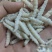 竹虫无冰干冻，小竹虫，竹节虫，不裹冰，广州发全国