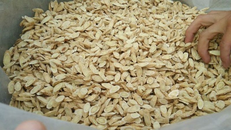 甘肃岷县:黄芪片，黄芪直条，黄芪原条？