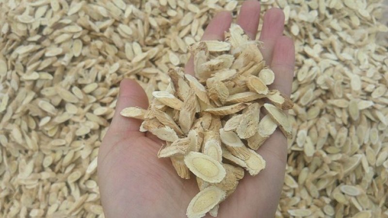 甘肃岷县:黄芪片，黄芪直条，黄芪原条？