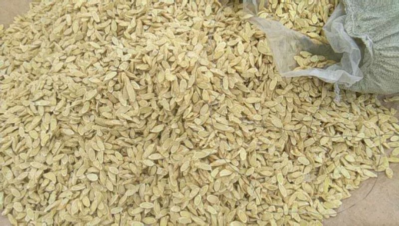 甘肃岷县:黄芪片，黄芪直条，黄芪原条？