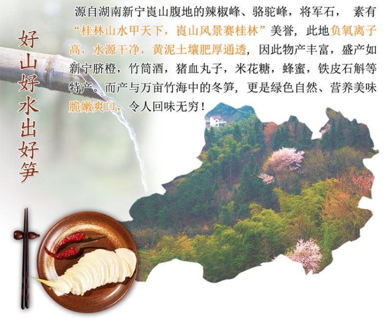 冬笋竹笋笋一件代发
