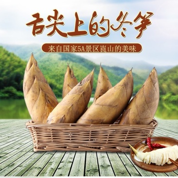 冬笋竹笋笋一件代发