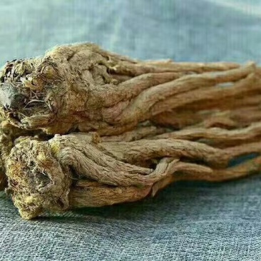 当归原条，片，头片。无硫
