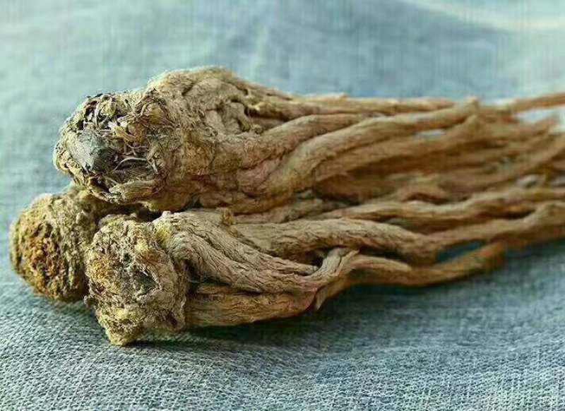 当归原条，片，头片。无硫