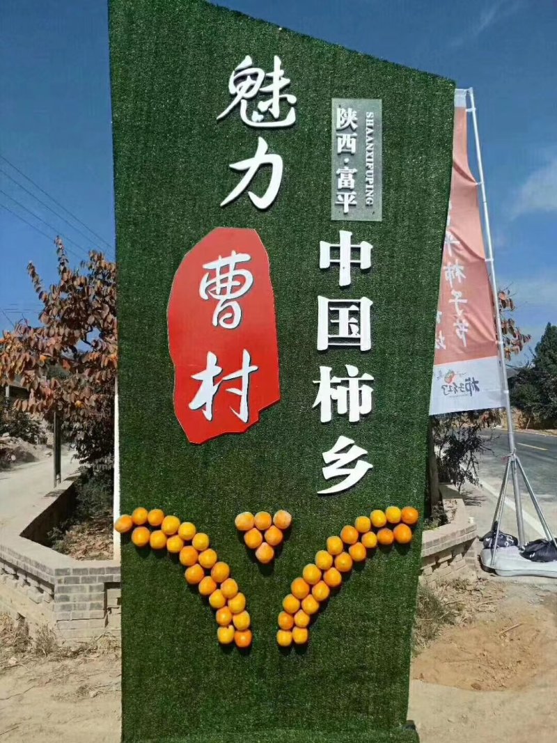 富平霜降柿饼礼盒装