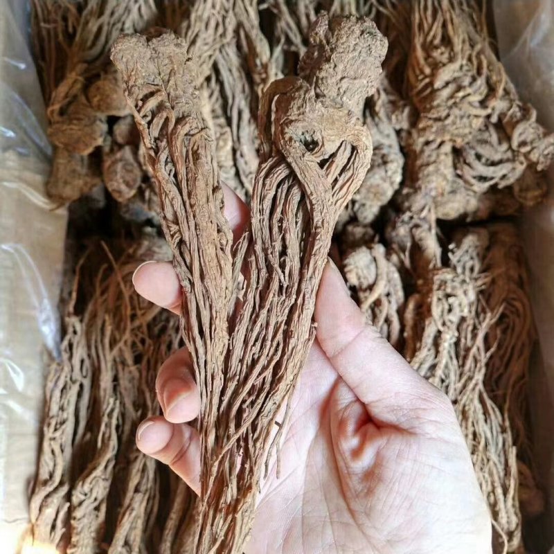 甘肃岷县当归，当归条当归片