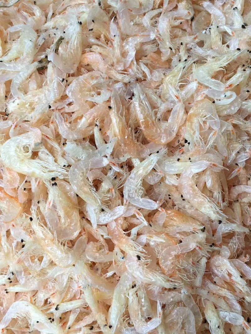 纯野生虾皮