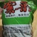 头水紫菜