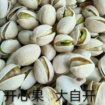 开心果大自开，原色，白色，新货上市