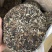 福鼎白茶350克1饼200块钱