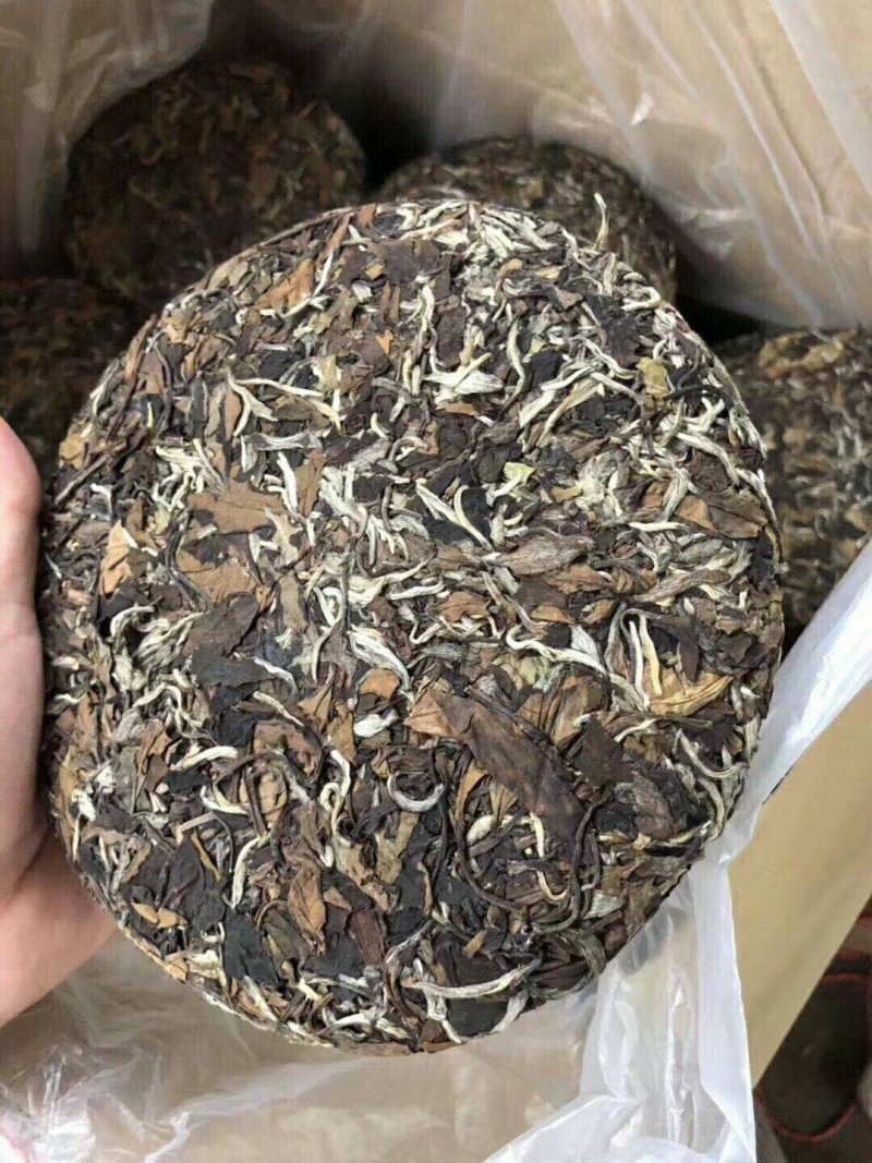 福鼎白茶350克1饼200块钱