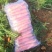 三红胡萝卜