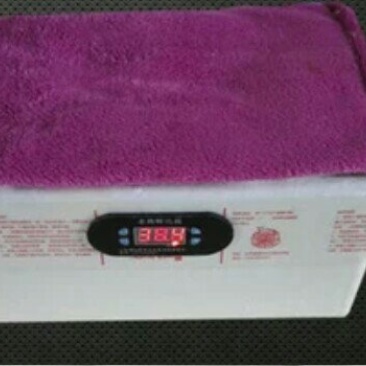 水床孵化箱70枚