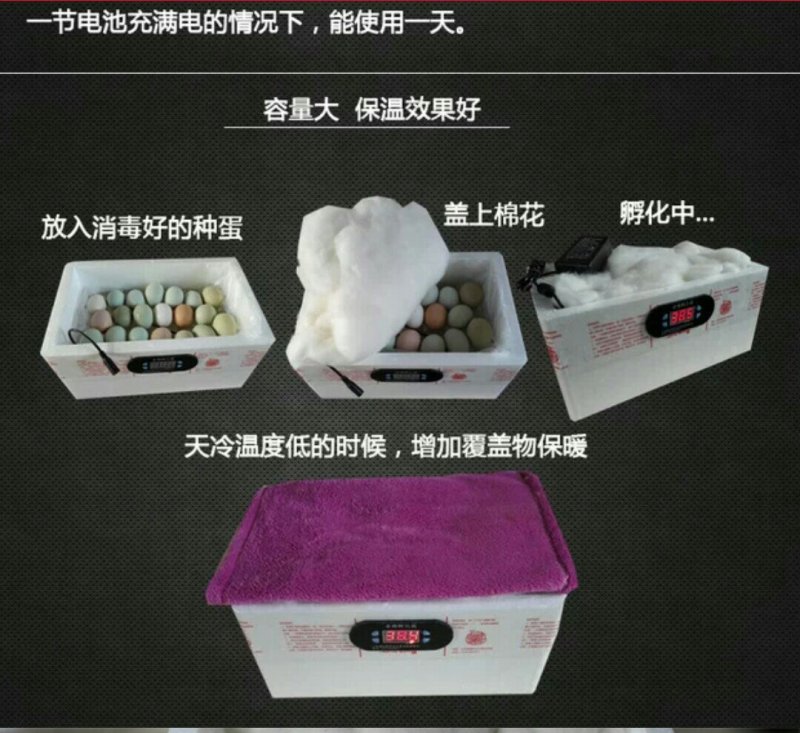 水床孵化箱70枚
