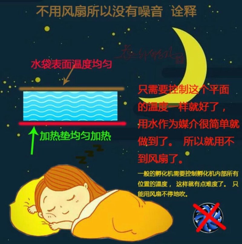 水床孵化箱70枚