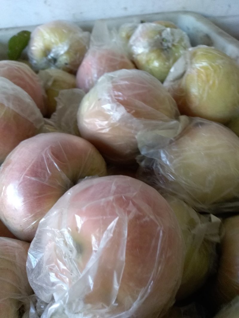 大沙河富士苹果🍎，口感脆甜皮薄肉细不打腊，不打崔熟剂。