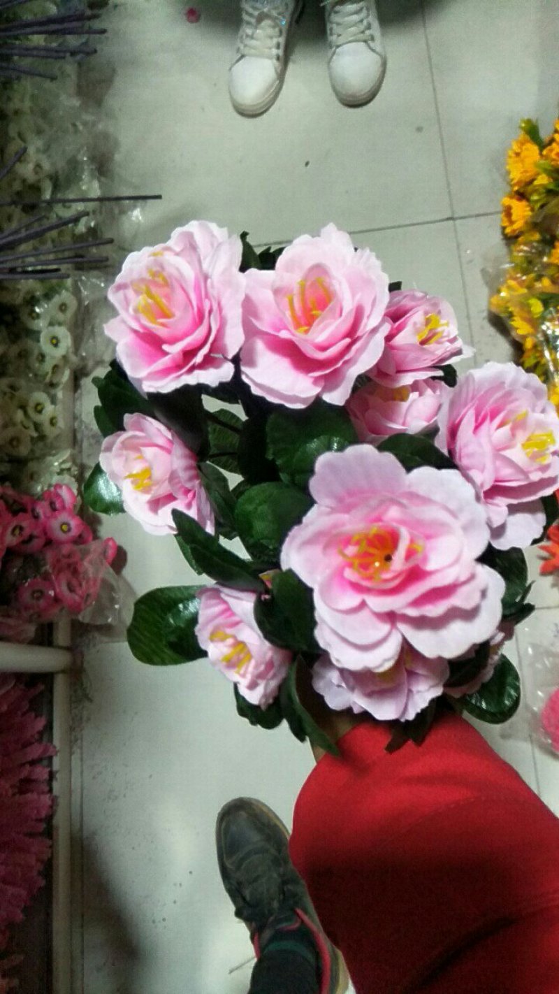 大量批发橄榄，角堇，这是雪地花不怕冻，
