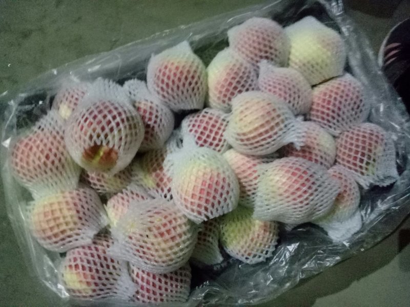 映霜红桃子大量上市中，个头大，价格美丽。