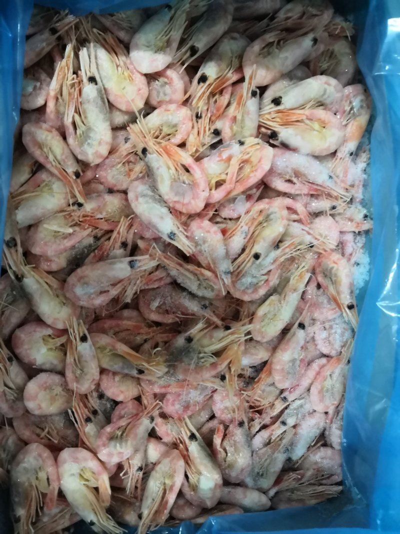 各种带鱼，黄花鱼，鲳鱼，鲈鱼，北极虾，