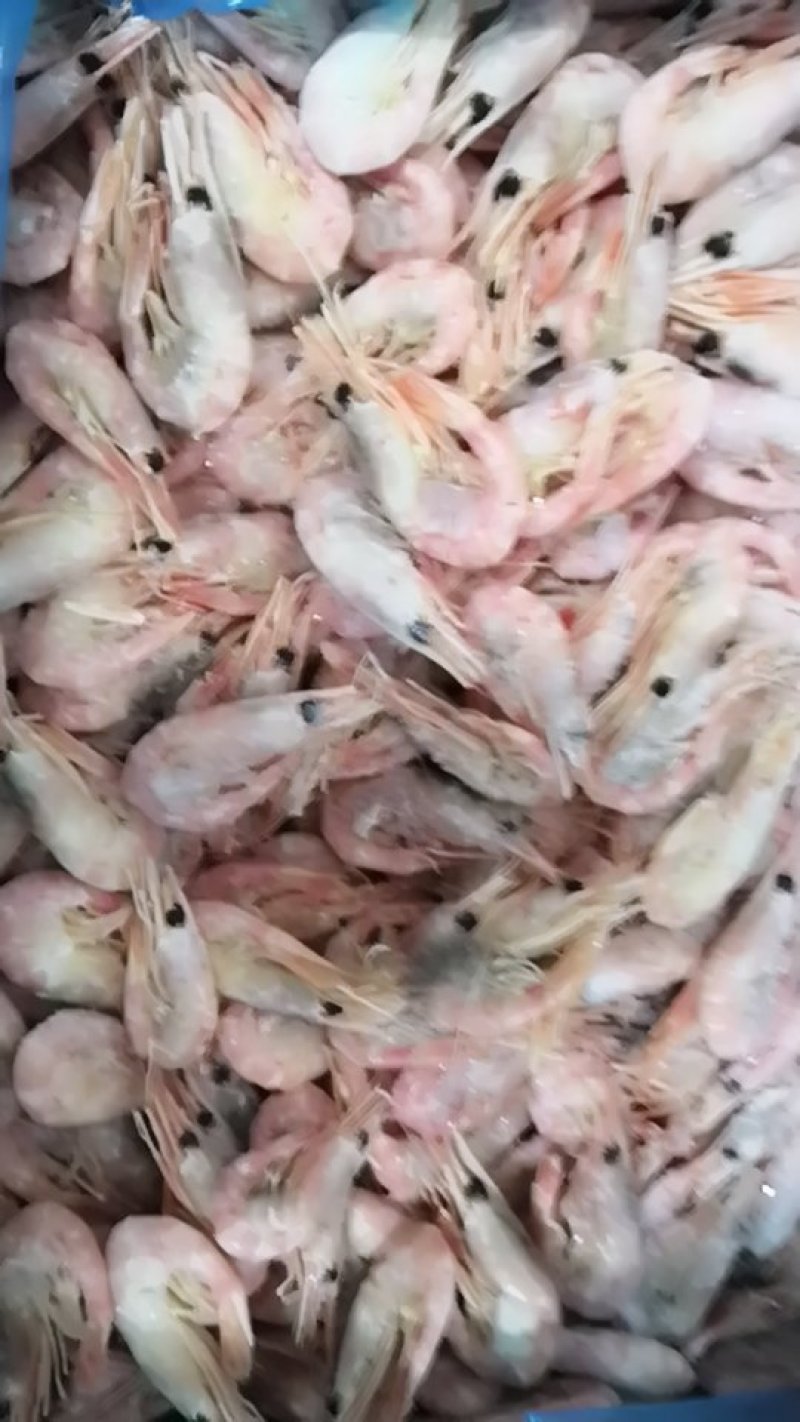 北极虾