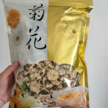 优质黄山贡菊