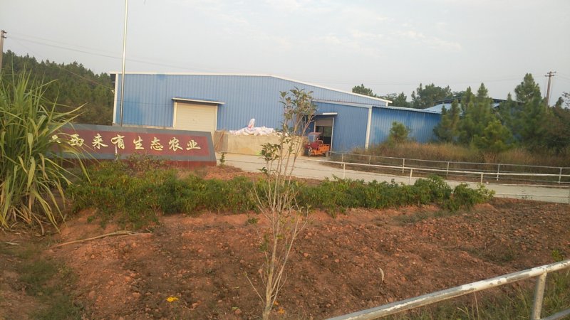 土地