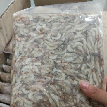 小河虾，物流方便，谁要联系我。