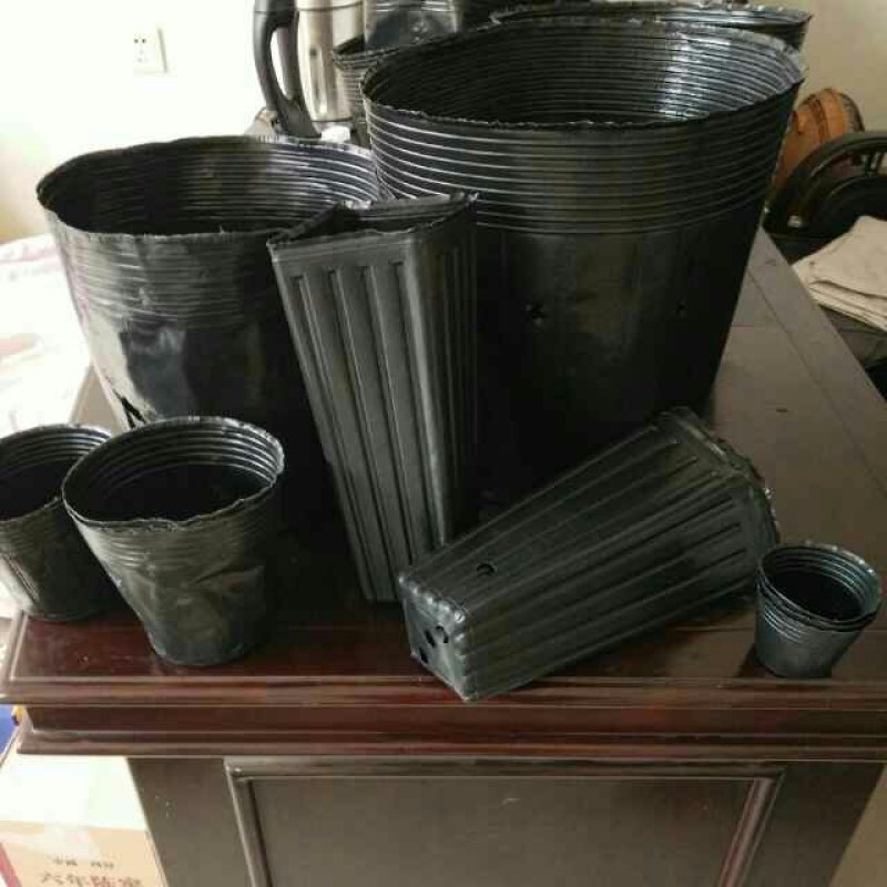营养钵