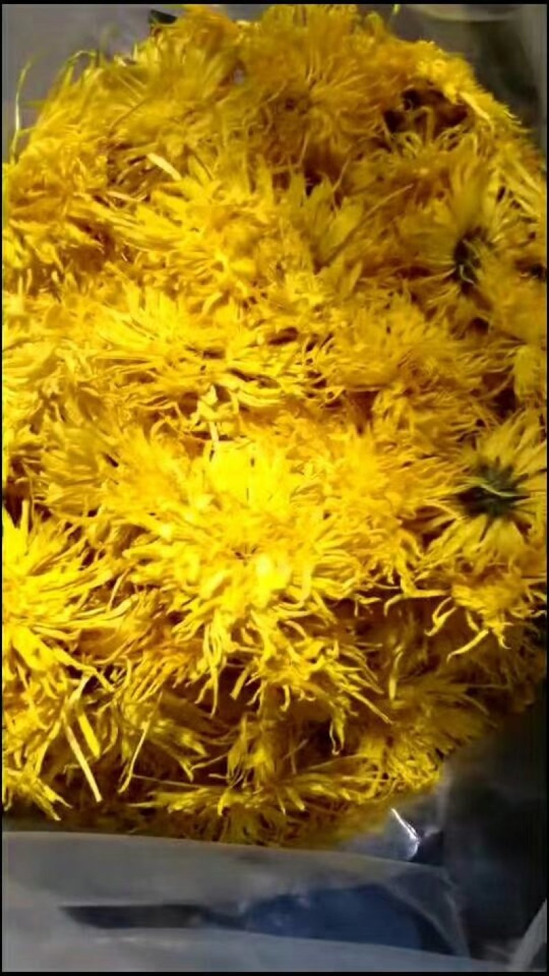 菊花茶